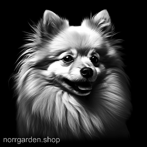 Graverat skifferunderlägg med Pomeranian – personlig gåva till hundvännen i ditt liv