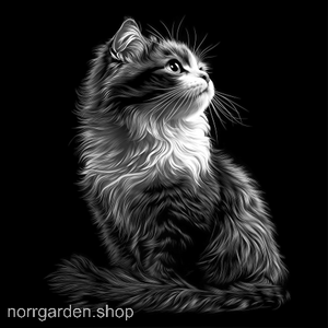 Skifferbricka med lasergravyr av en American curl katt - personlig present för kattägare