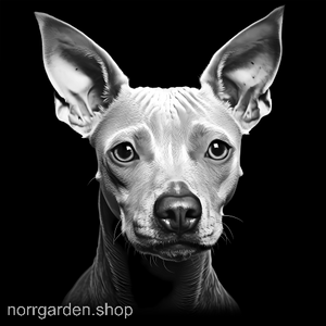 Exklusivt underlägg i skiffer med gravyr av Amerikansk Hårlös Terrier – älskad av hundmänniskor