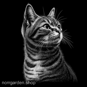 Personligt skifferunderlägg med motiv av Amerikansk korthår - perfekt present till kattvän