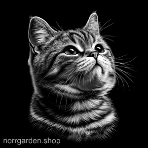 Kattmotiv i skiffer - handgjort underlägg med Amerikansk korthår för dig som älskar katter