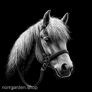 Underlägg med Amerikansk miniatyrhäst – stilfull presentidé för ridintresserade