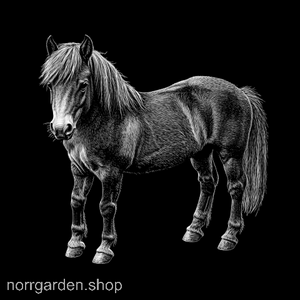 Lasergraverad skifferbricka med Amerikansk miniatyrhäst – stilfull presentidé för ridintresserade