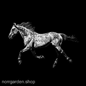 Underlägg i skiffer med Appaloosa – unik detalj i hemmet för hästvänner