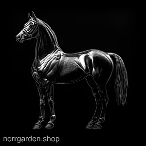 Underlägg i skiffer med gravyr av en Arabhäst – perfekt present till hästälskare