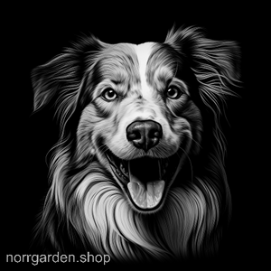 Underlägg i skiffer med gravyr av Australisk Shepherd – för dig som älskar hundar