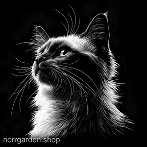 Kattmotiv i skiffer - handgjort underlägg med Balines för dig som älskar katter