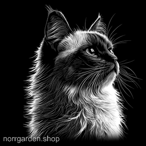 Personligt skifferunderlägg med motiv av Balines - perfekt present till kattvän