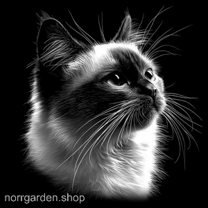 Graverat skifferunderlägg med Birman - unik heminredning för kattfantasten