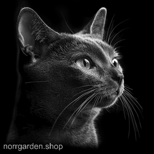 Kattmotiv i skiffer - handgjort underlägg med Bombay för dig som älskar katter