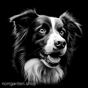 Lasergraverat underlägg i skiffer med Border Collie – populär present bland hundägare