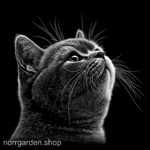 Graverat underlägg med Brittisk korthår - unik heminredning för kattfantasten