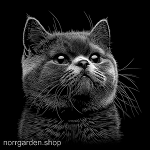 Graverat skifferunderlägg med Brittisk korthår - unik heminredning för kattfantasten