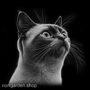 Underlägg i skiffer med gravyr av en Burma - en elegant gåva till kattälskare