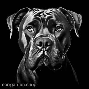 Underlägg i skiffer med gravyr av Cane Corso – för dig som älskar hundar