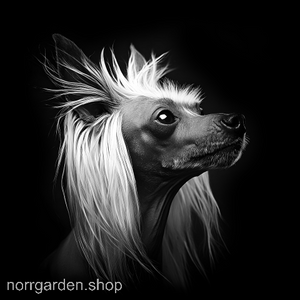 Lasergraverat underlägg i skiffer med Chinese Crested – populär present bland hundägare