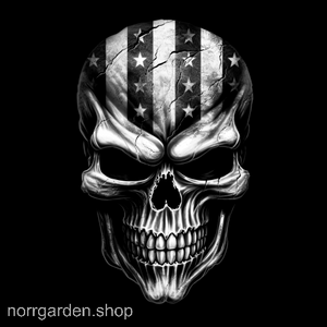 Skifferunderlägg med dödskalle med stjärnansikte och USA-tema – en rustik och patriotisk detalj