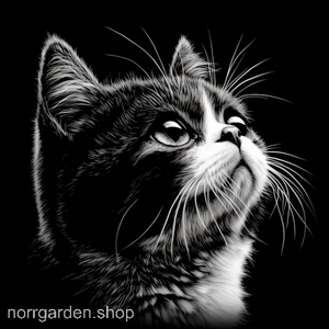 Kattmotiv i skiffer - handgjort underlägg med Exotic för dig som älskar katter