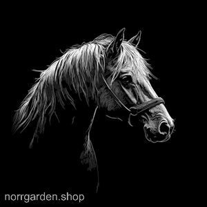 Graverat skifferunderlägg med motiv av Fjording – elegant gåva för hästfantaster