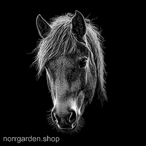 Lasergraverad skifferbricka med Fjording – stilfull presentidé för ridintresserade