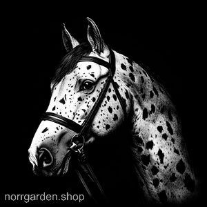 Lasergraverad skifferbricka med Fläckig saddlebred – stilfull presentidé för ridintresserade