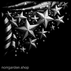 Underlägg i skiffer med motiv av flagga med stjärnor – perfekt för 4th of July eller BBQ-festen