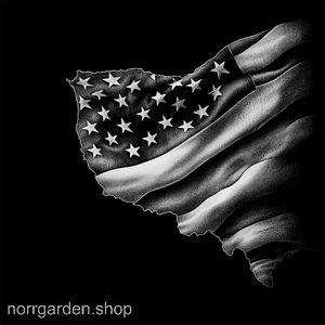 Underlägg i skiffer med motiv av flagga med stjärnor – perfekt för 4th of July eller BBQ-festen