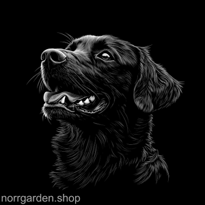 Personlig present i skiffer med graverad Flat Coated Retriever