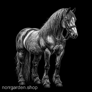 Lasergraverad skifferbricka med Galineers cob – stilfull presentidé för ridintresserade