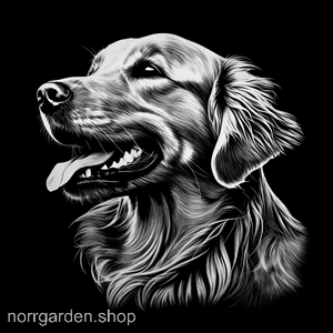 Skifferunderlägg med motiv av Golden Retriever – perfekt som födelsedagspresent till hundälskare