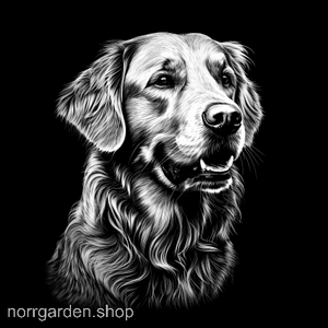 Skifferunderlägg med motiv av Golden Retriever – perfekt som födelsedagspresent till hundälskare