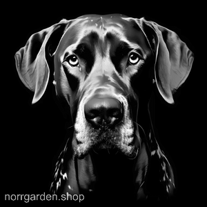 Underlägg i skiffer med graverad Great Dane – en stilren present för hundälskare