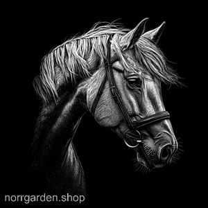 Skifferunderlägg med handgraverad Haflinger – älskad av hästvänner