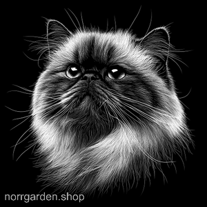 Skifferbricka med lasergravyr av en Himalaya - personlig present för kattägare