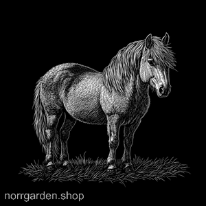 Skifferunderlägg med graverad Islandshäst – älskad av hästvänner
