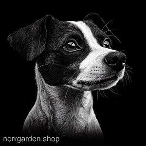 Skifferunderlägg med motiv av Jack Russell – perfekt som födelsedagspresent till hundälskare