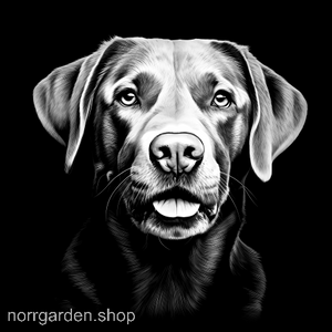 Graverat skifferunderlägg med Labrador Retriever – personlig gåva till hundvännen i ditt liv