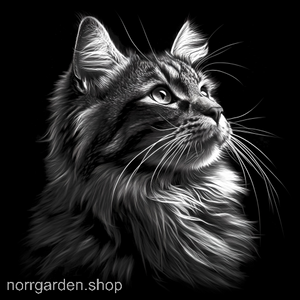 Skifferbricka med lasergravyr av en Maine coon - personlig present för kattägare