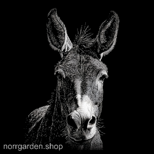 Lasergraverad skifferbricka med Mula – stilfull presentidé för ridintresserade