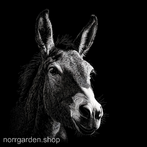 Graverat skifferunderlägg med motiv av Mula – elegant gåva för hästfantaster