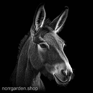 Skifferunderlägg med handgraverad Mula – älskad av hästvänner