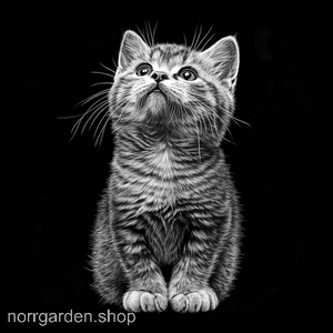 Kattmotiv i skiffer - handgjort underlägg med Munchkin för dig som älskar katter