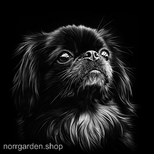 Skifferunderlägg med motiv av Pekinis – perfekt som födelsedagspresent till hundälskare