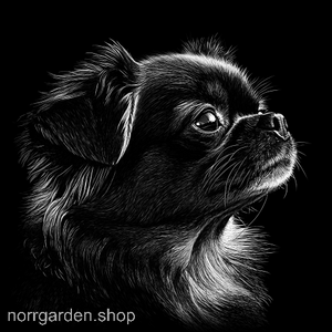 Skifferunderlägg med motiv av Pekinis – perfekt som födelsedagspresent till hundälskare