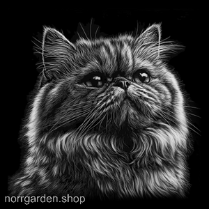 Graverat skifferunderlägg med Perser - unik heminredning för kattfantasten