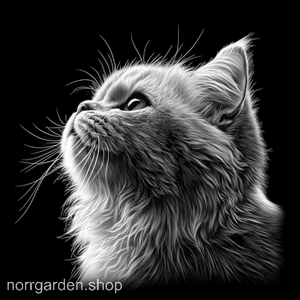 Underlägg i skiffer med gravyr av en Perser - en elegant gåva till kattälskare