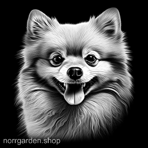 Graverat skifferunderlägg med Pomeranian – personlig gåva till hundvännen i ditt liv