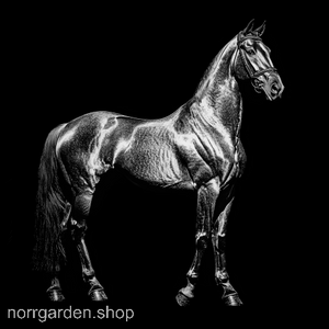 Underlägg i skiffer med gravyr av en PRE (Pura Raza Española) – perfekt present till hästälskare