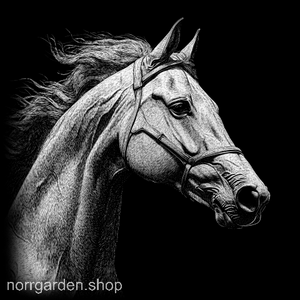 Underlägg i skiffer med gravyr av en Saddlebred – perfekt present till hästälskare