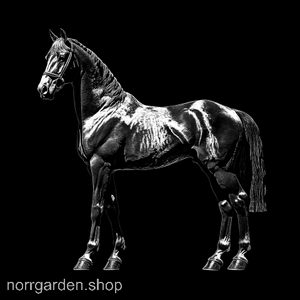 Lasergraverad skifferbricka med Saddlebred – stilfull presentidé för ridintresserade